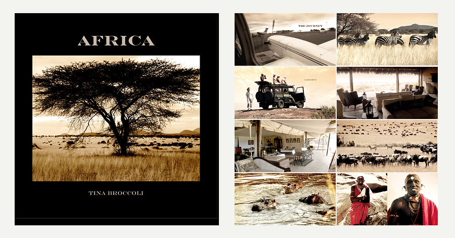 preview africa book by Tina Broccoli